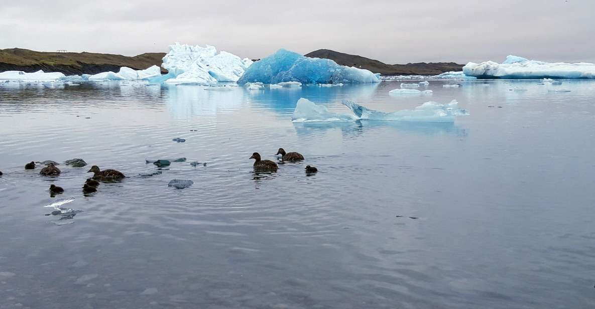 Glacier Lagoon and Diamond Beach Private Tour From Reykjavik - Itinerary Highlights