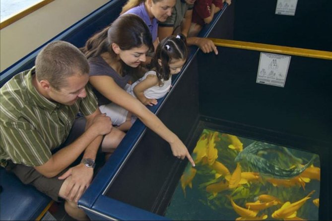 Glass Bottom Boat: Catalina Island Tour - Meeting Location and Logistics