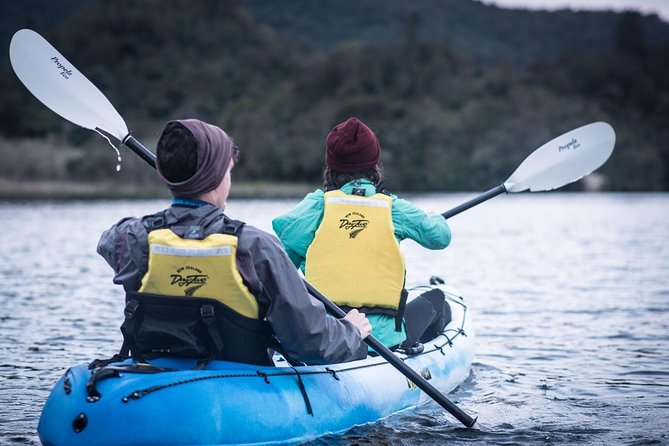 Glow Worm Kayak Tour - What to Expect on the Tour