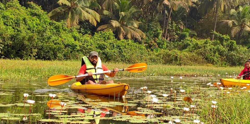 Goa: Backwaters and Mangrove Kayaking Experience - Activity Highlights