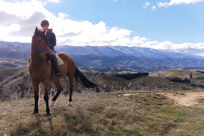 Golden Hills Horse Treks - Unique Experience Features