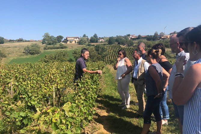 Golden Stones Beaujolais Wine Tour With Tastings From Lyon - Inclusions and Logistics