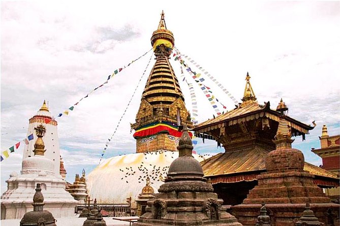 Golden Triangle Nepal Tour (Kathmandu, Chitwan & Pokhara)- 8 Days - Itinerary Overview