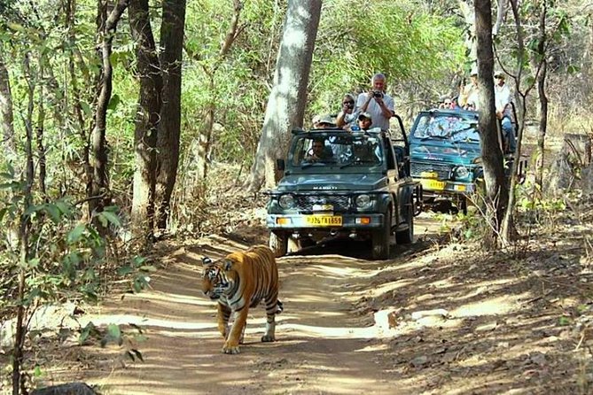 Golden Triangle Tour With Ranthambore Tiger Safari - Itinerary Highlights