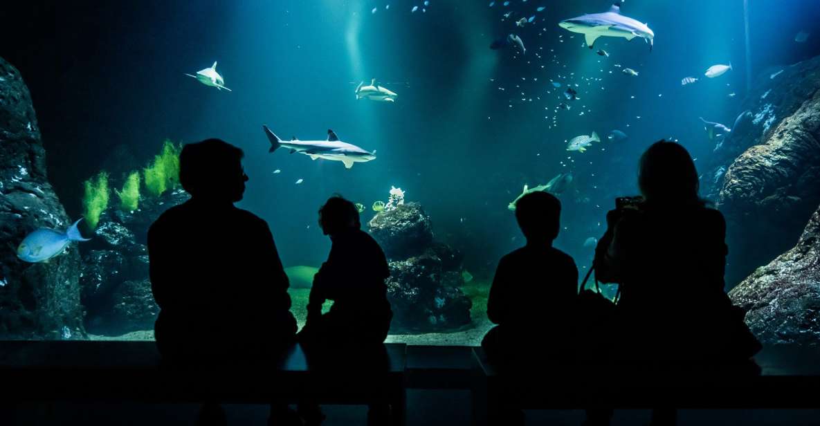 Gothenburg: Universeum Entry Ticket - Cancellation and Refund Policy