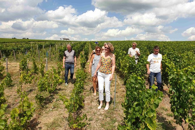 Gourmet Walk in the Heart of the Vineyards With Champagne Tasting Near Epernay - Guided Vineyard Walk