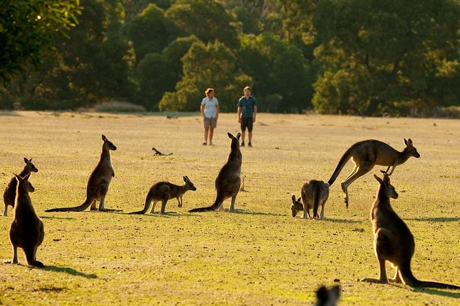Grampians National Park Small-Group Eco Tour From Melbourne - Whats Included in the Tour