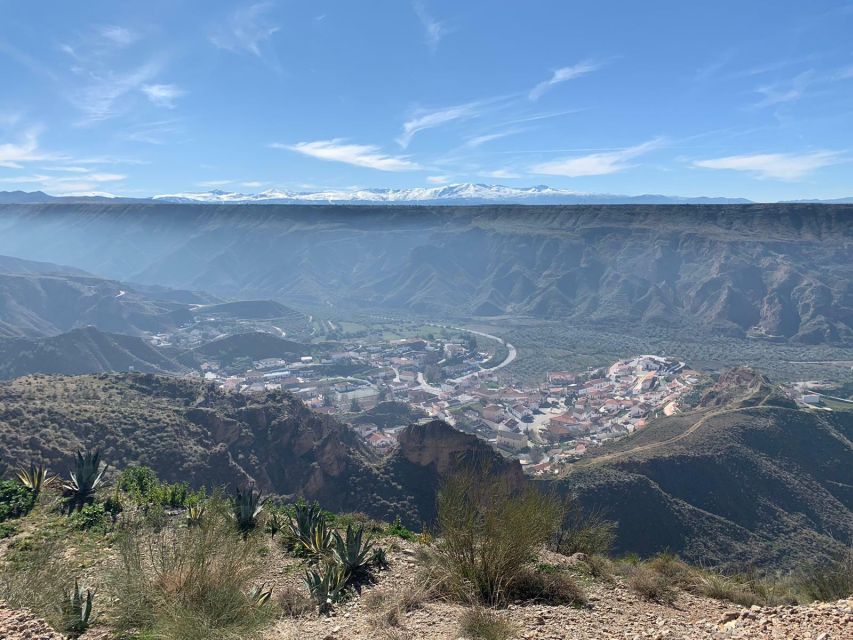Granada Geopark: Desert and Prehistory Tour With Lunch - Pickup Information