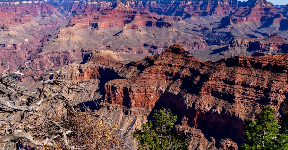 Grand Canyon Classic Sightseeing Tour Departing Flagstaff - Tour Highlights