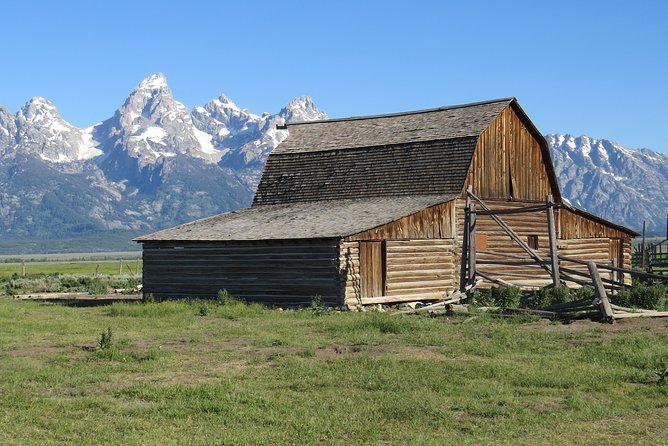 Grand Teton National Park - Sunrise Tour From Jackson Hole - Wildlife Sightings