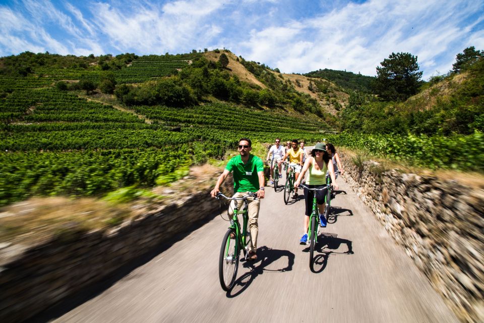 Grape Grazing: Wachau Valley Winery Biking Tour - Itinerary Breakdown