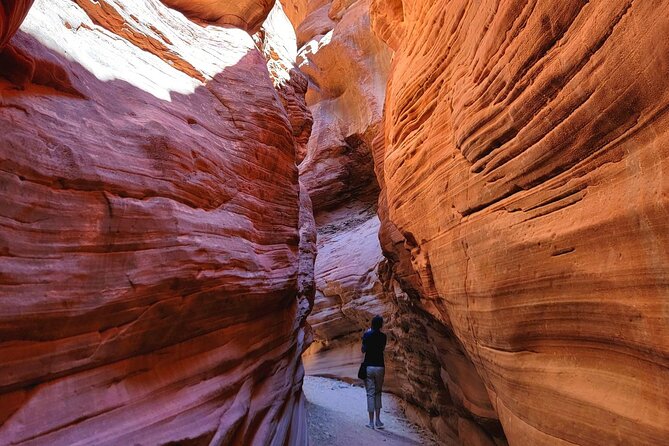 Great Chamber/Peekaboo Slot Canyon UTV Tour 4hrs - Highlights of the Adventure