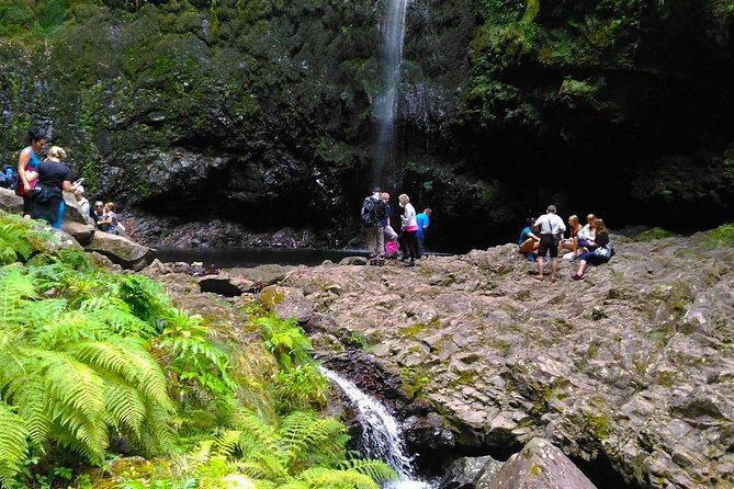 Green Cauldron Levada Walk From Funchal - Highlights of the Walk