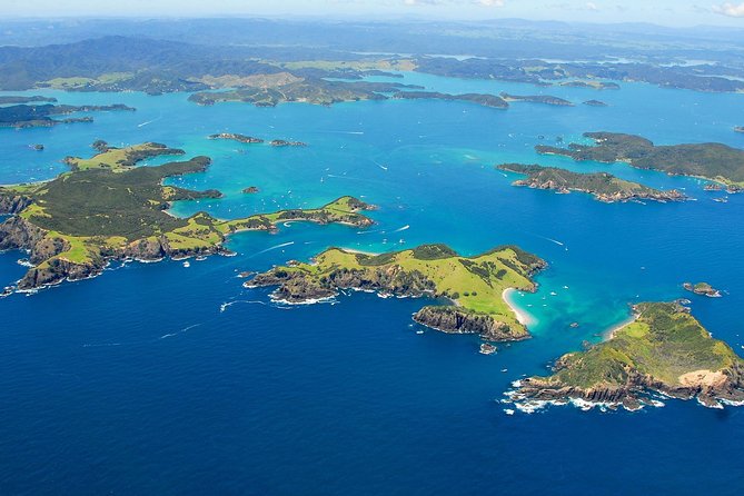 Group Tour to Bay of Islands Return From Auckland - Itinerary Highlights