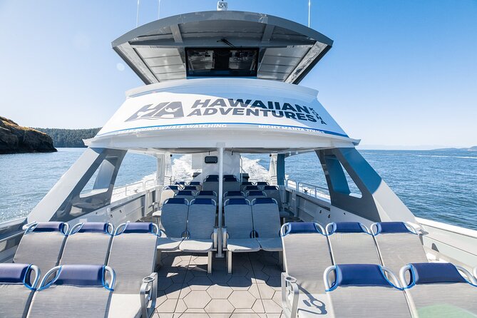 Guaranteed Dolphin and Whale Watch Tour in Kona - Reviews and Feedback