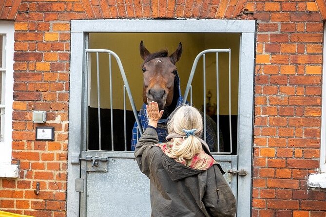 Guided Half Day Behind the Scenes Newmarket Tour - What to Expect