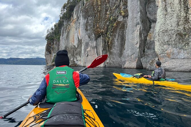 Guided Half Day Kayak Tour With Picnic in Villa La Angostura - Health and Safety