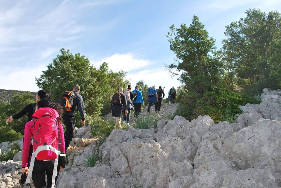 Guided Hike to Cala Mariolu - Detailed Itinerary