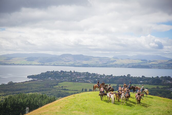 Guided Horse Trekking From Rotorua - Safety Guidelines