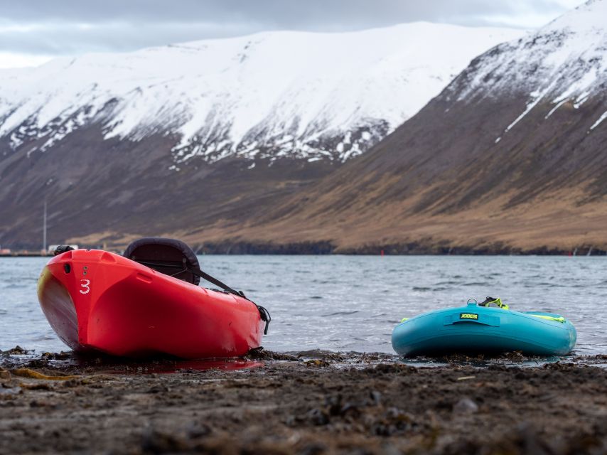 Guided Kayak Tour in Siglufjörður / Siglufjordur. - Experience Highlights