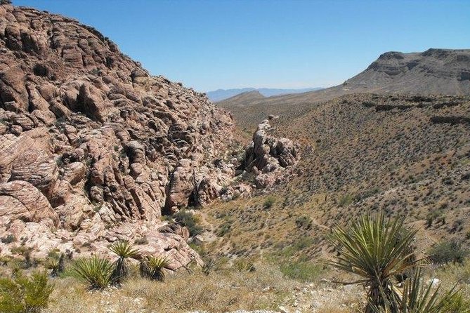Guided Mountain Bike Tour of Mustang Trail in Red Rock Canyon - Participant Requirements