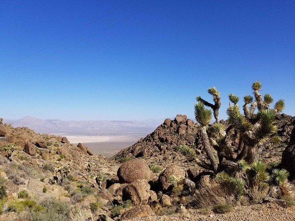 Guided or Self-Guided Road Bike Tour of Red Rock Canyon - Guided Tour Features