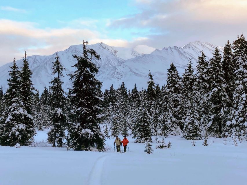 Guided Snowshoeing Adventure From Seward, Alaska - Highlights of the Adventure