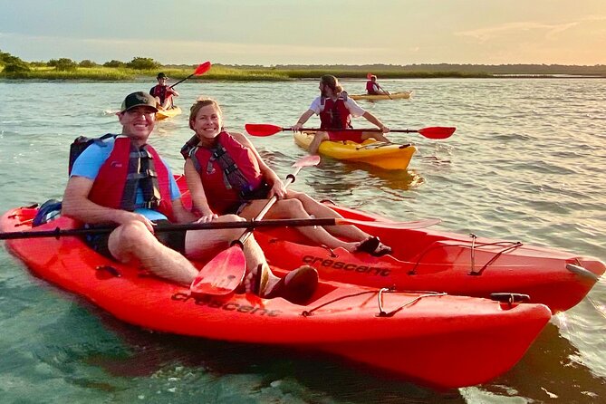 Guided Tour for Dolphin & Sea Turtle Observation in Saint Augustine, Florida - Educational Insights on Ecosystems