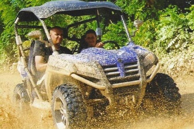 Guided Tour in Polaris (4X4) by Macao Beach, Taino Cave and Typical House - Whats Included in the Tour