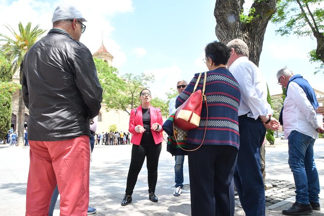 Guided Tour of Úbeda and Baeza - Highlights of the Itinerary