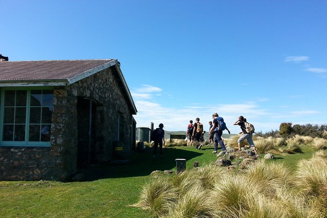 Guided Walk & Scenic Drive From Christchurch- Port Hills & Packhorse Hut - Meeting Point Details