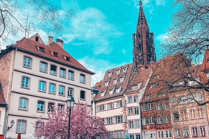 Guided Walking Tour in Strasbourg Between History and Curiosities - Accessibility Features