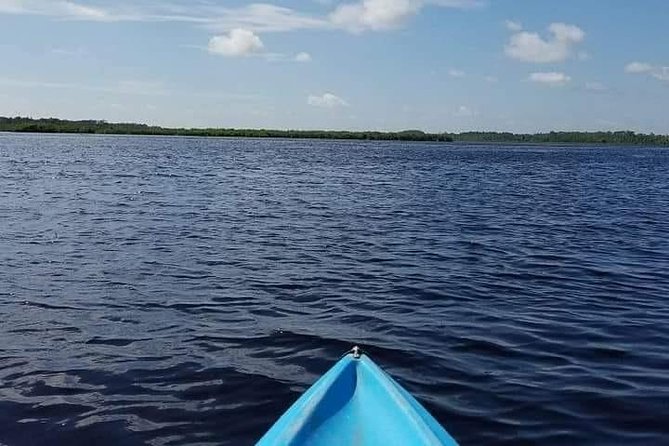 Guided Wildlife Eco Kayak Tour in New Smyrna Beach - Location and Duration