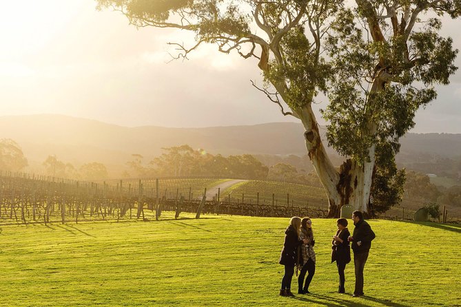 Hahndorf and Adelaide Hills Hop-On Hop-Off Winery Tour From City - Inclusions and Meeting Details