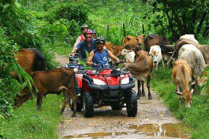 Half-Day Adventure 4x4 ATV, Water Cave and Dominican Culture - Logistics and Requirements