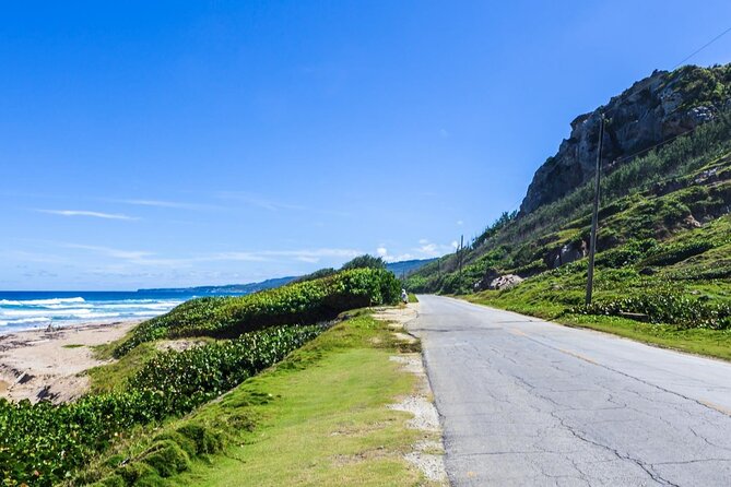 Half-Day Barbados Caves and Critters Tour With Pick up - Key Highlights