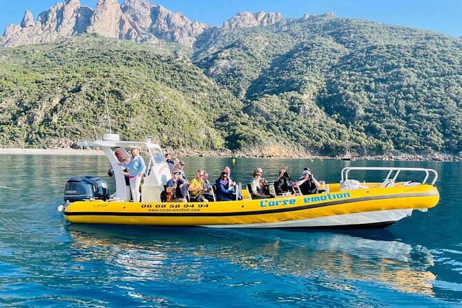 Half Day Boat Trip to Scandola Calanche De Piana - Accessibility and Recommendations