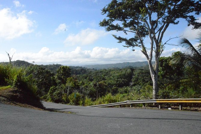 Half-Day Center of Puerto Rico Cultural Tour - Itinerary Details