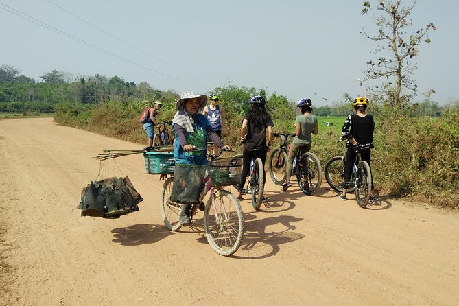 Half Day Cycling Tour to the White Temple - Scenic Landscape