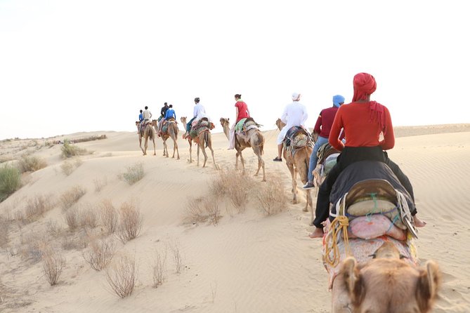 Half Day Desert Safari Jaisalmer - Transportation and Pickup