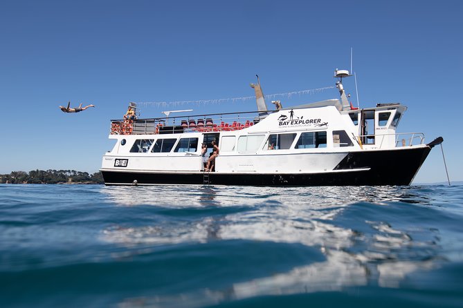 Half Day Dolphin Watching Cruise (Departing From Rotorua) - Onboard Amenities and Services