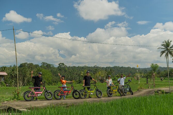 Half-Day Electric Fat Bike Tour of Ubud - Meeting and Pickup