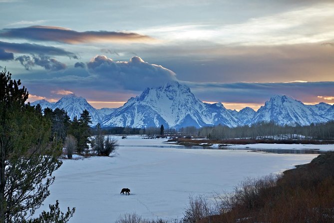 Half Day Group Sunrise Wildlife Safari - Inclusions and Amenities