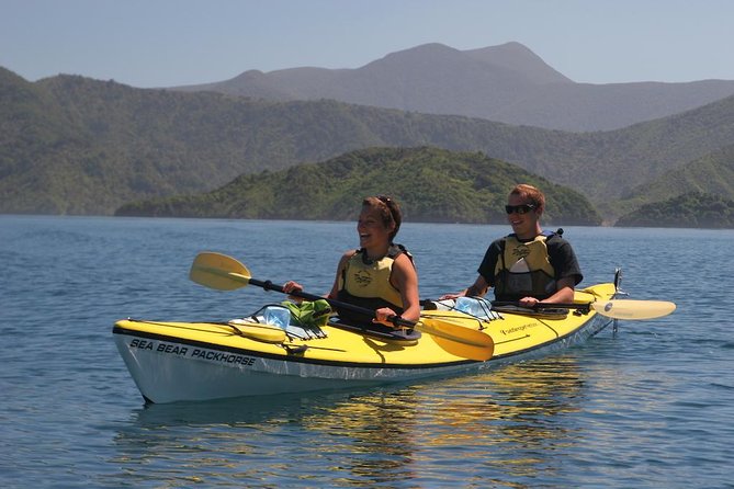 Half-Day Guided Sea Kayaking Tour From Anakiwa - Meeting Point Details