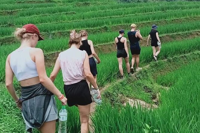 Half-Day Hometrek From Sapa With Hmong Sister House - Meeting and Pickup