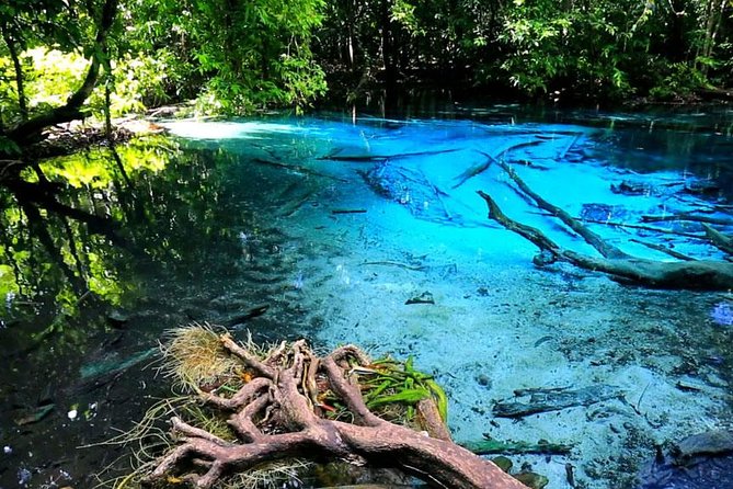 Half Day Jungle Tour to Emerald Pool and Krabi Hot Spring - Itinerary Highlights