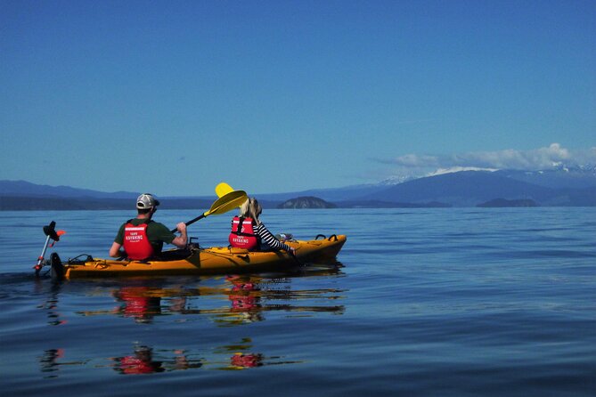 Half-Day Kayak to the Maori Rock Carvings in Lake Taupo - Experience Highlights