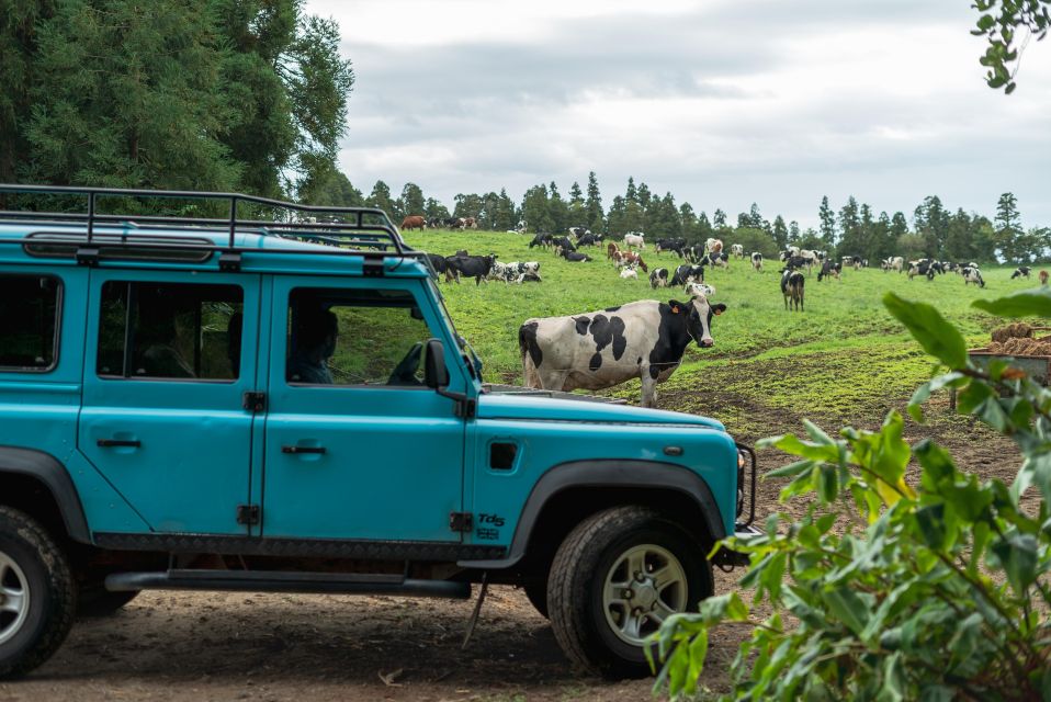 Half Day Lagoa Do Fogo 4X4 Tour and Gin Library - Booking Information