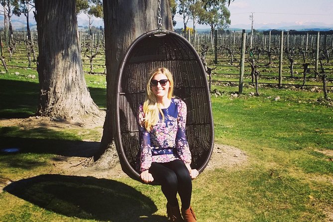 Half-Day Marlborough Wine Tour & Beer Tour - What to Expect