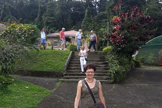 Half-Day Nature and Panorama Tour in Martinique - Meeting and Departure Details